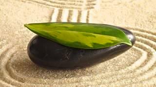 12920248_422128201290848_6460974126628874534_n