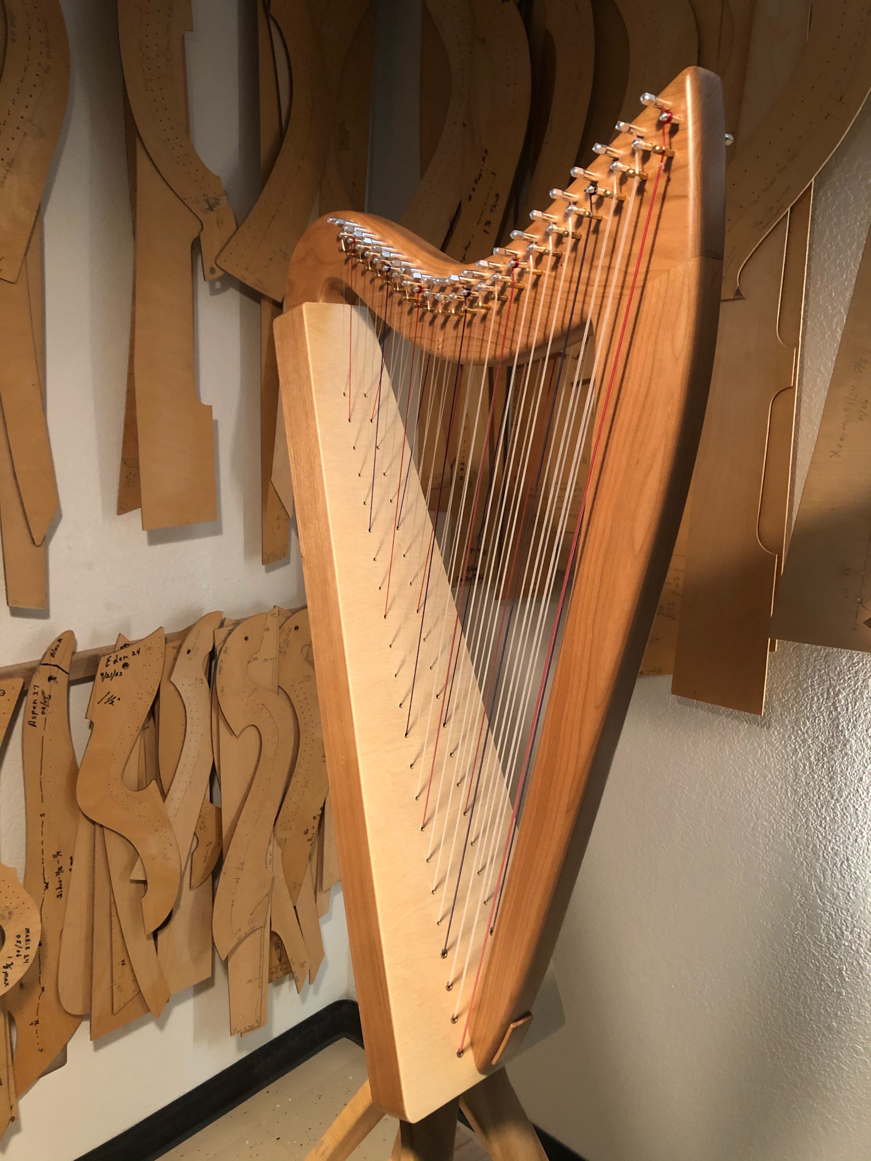 Double Strung Harp
